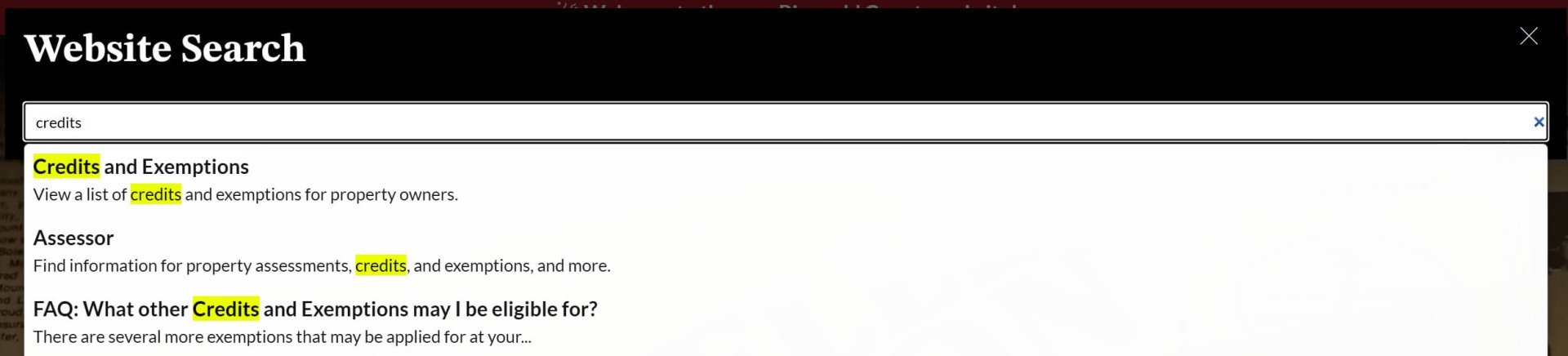 Instant Search Results Dropdown